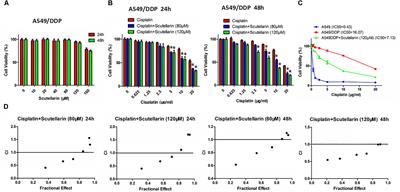 Scutellarin Increases Cisplatin-Induced Apoptosis and Autophagy to Overcome Cisplatin Resistance in Non-small Cell Lung Cancer via ERK/p53 and c-met/AKT Signaling Pathways